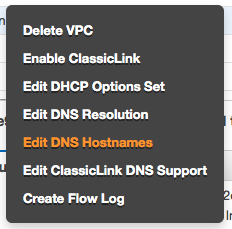 Edit DNS Hostnames